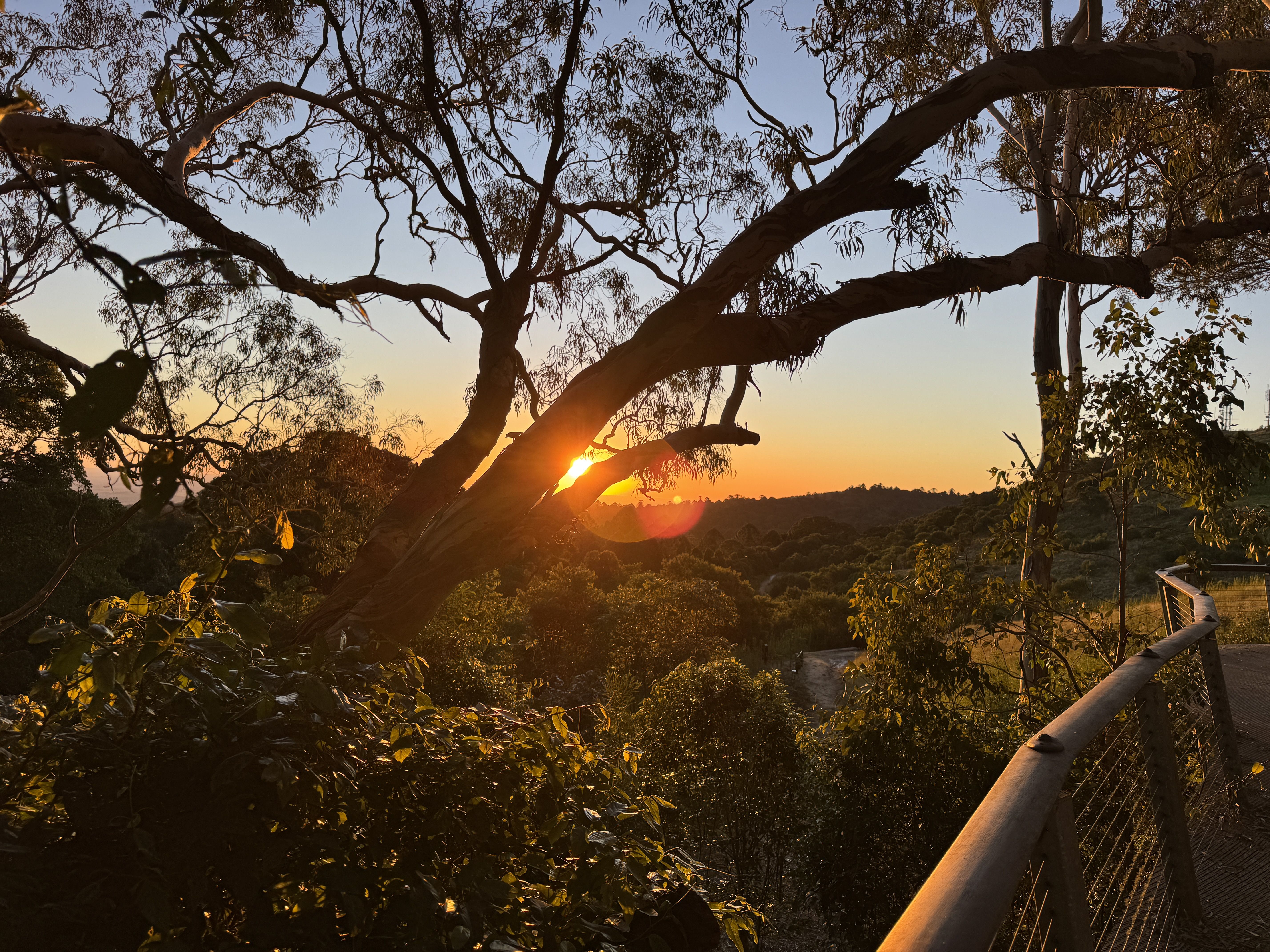 Car trip banner image